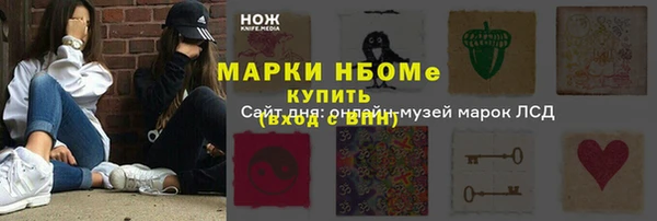 шишки Заводоуковск
