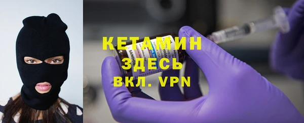 шишки Заводоуковск