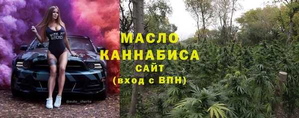 шишки Заводоуковск