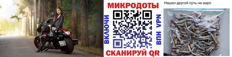Псилоцибиновые грибы GOLDEN TEACHER Керчь