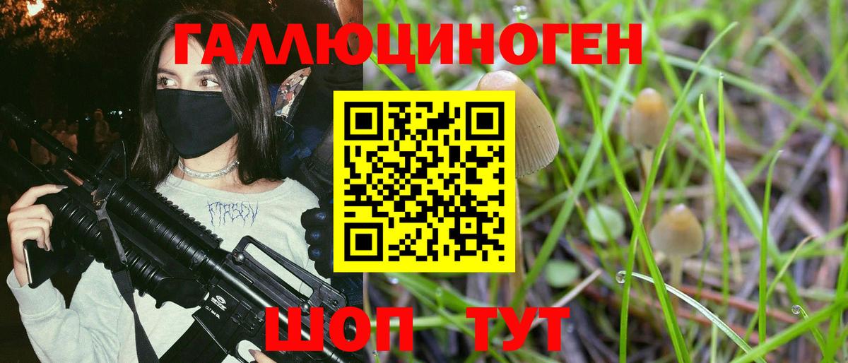 Галлюциногенные грибы GOLDEN TEACHER  Галлюциногенные грибы ЛСД  Керчь 